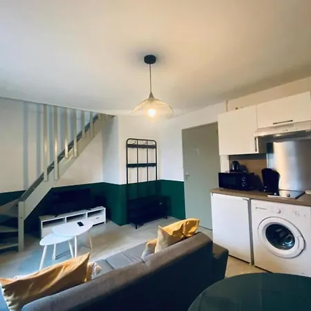 Joli Duplex - Centre - Angers