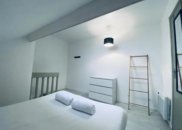 Joli Duplex - Centre - * Angers